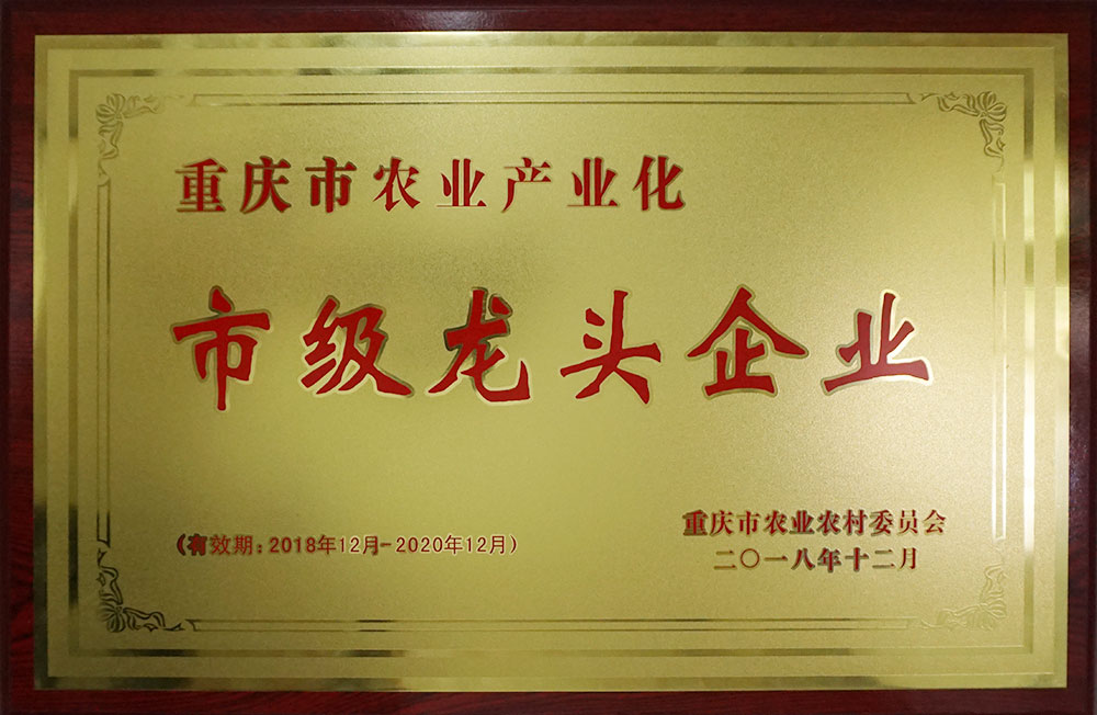 市級龍頭企業